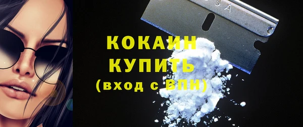 индика Бронницы