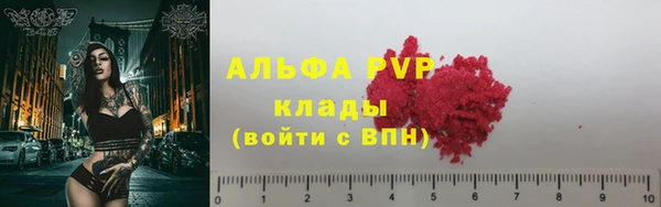 индика Верея
