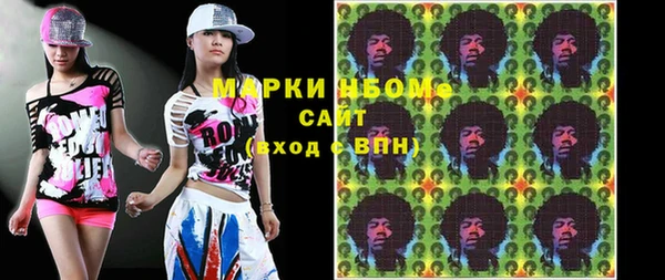 индика Бронницы