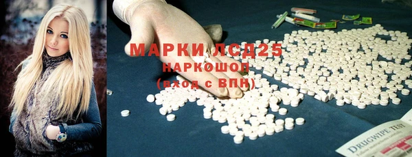 индика Верея