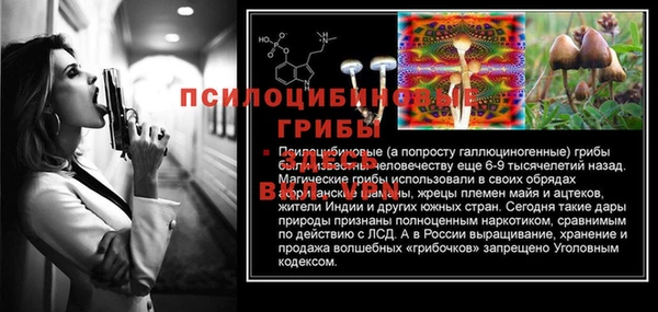 mdma Богданович