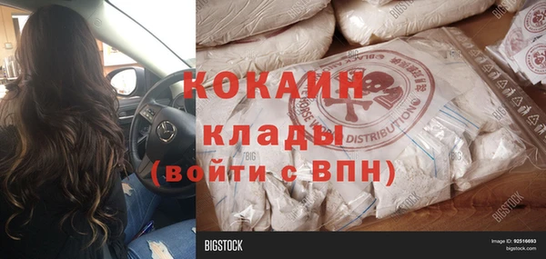 PSILOCYBIN Бородино