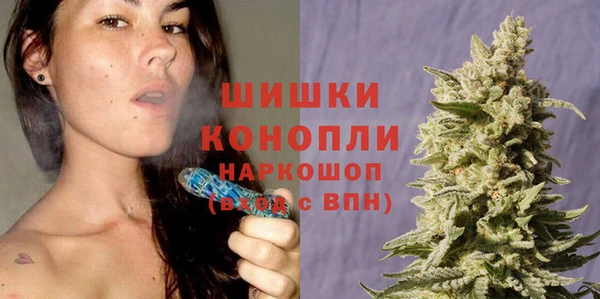 гидропоника Козловка