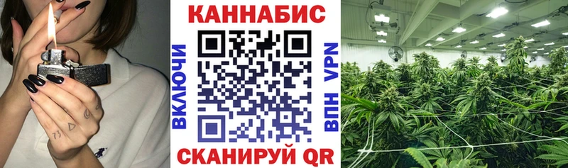 Конопля семена Новоржев
